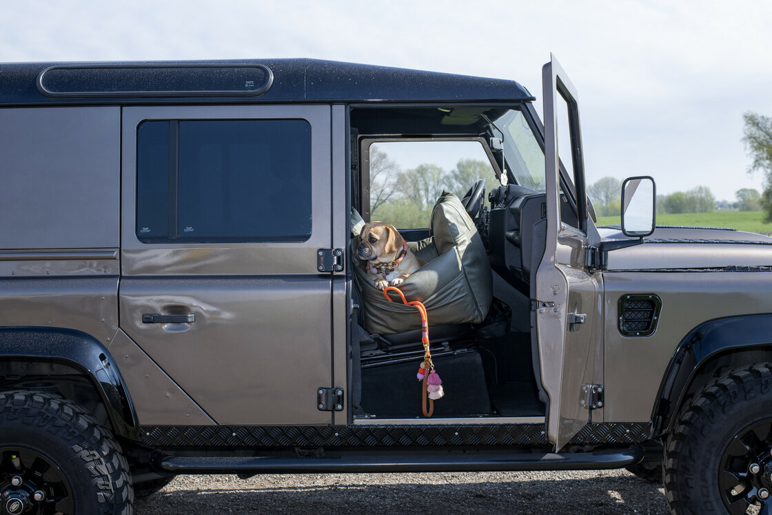 Honden Autostoel