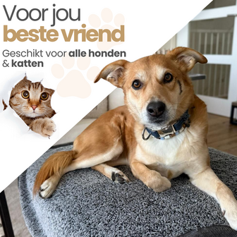 Dogs&amp;Co Hondendeken Snuggle