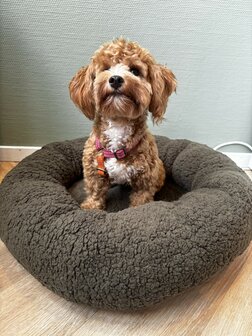 Dogs&amp;Co&reg; Donut Teddy 60cm Beige