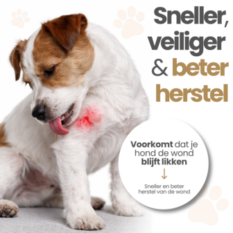 Dogs&amp;Co&reg; Herstelpak - Voorpoot beschermer