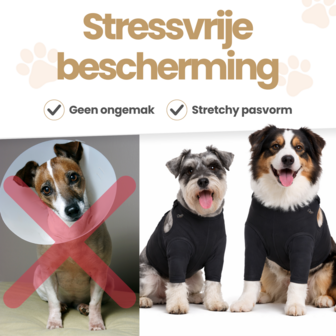 Dogs&amp;Co&reg; Herstelpak - Voorpoot beschermer