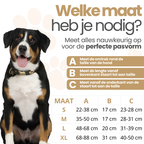 Dogs&amp;Co&reg; Loopsheidbroekje Grijs