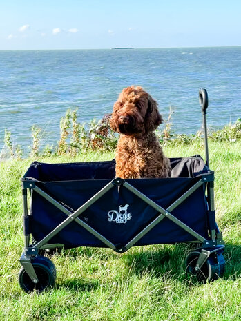  Dogs&amp;Co Bolderkar 