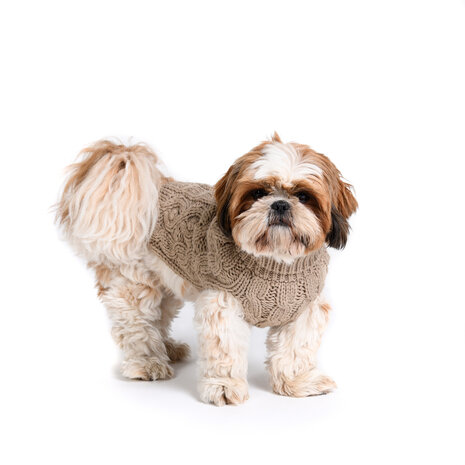 Dogs&amp;Co Hand gebreide Hondentrui Beige