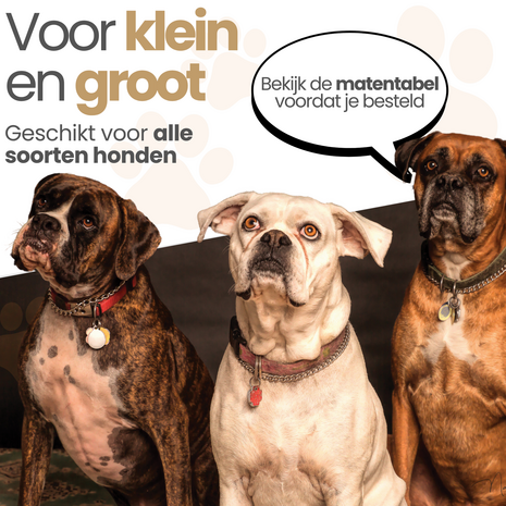 Dogs&amp;Co&reg; Loopsheidbroekje FLOWER printDogs&amp;Co&reg; Loopsheidbroekje Bruin 