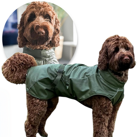 Dogs&amp;Co Honden Regenjas Raindog Groen