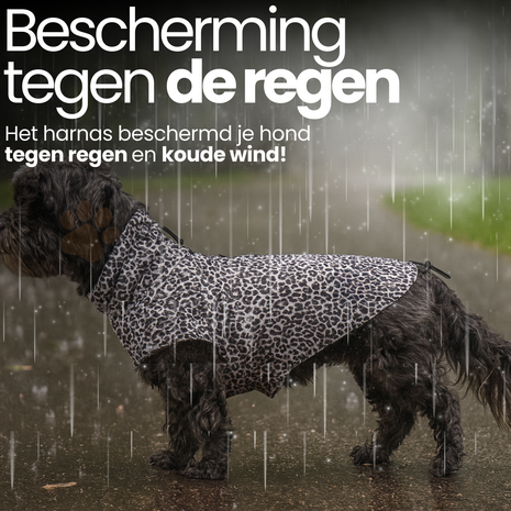 Dogs&Co&reg; Regenjas Leopard 