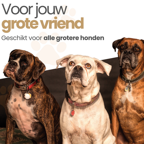Verkoelende Hondentuig Ice Blauw voor grotere honden