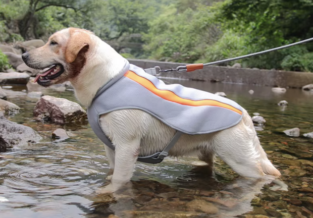 Verkoelend Ademend Hondentuig Ice Oranje