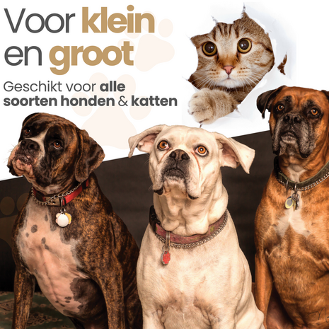 Dogs&Co Hondenstretcher met bolster maat XL 106*68*18CM