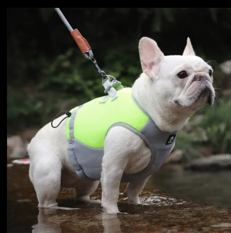 Dogs&amp;Co&reg; Verkoelend hondenvest Harnas Geel 