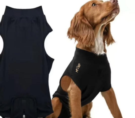 Dogs&amp;Co&reg; Honden Romper voor na de operatie Zwart