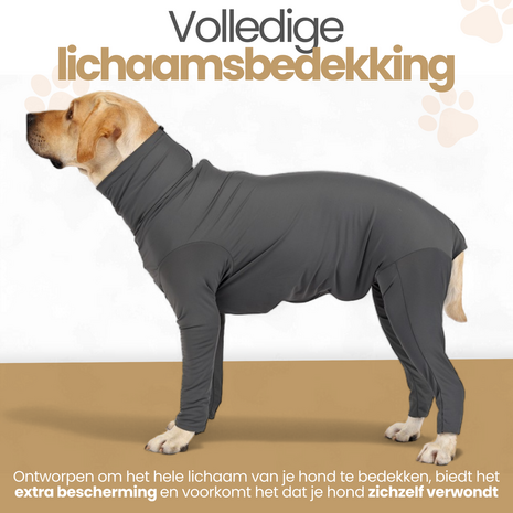 Dogs&amp;Co&reg; Medisch Bodysuit - Operatie jumpsuit Grijs - Operatiepak voor de hond grijs