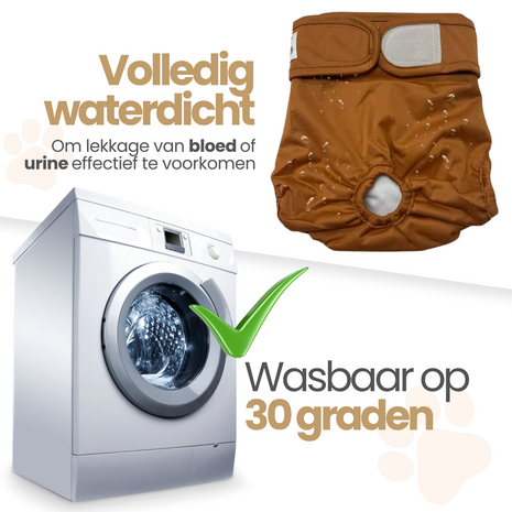 Dogs&amp;Co&reg; Loopsheidbroekje Beige - Diverse maten