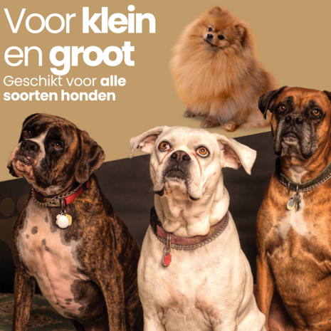 Dogs&amp;Co Honden zwembad 160x30 cm Blauw