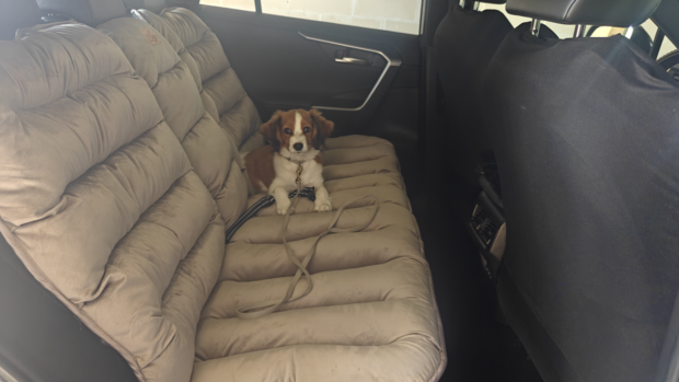 Dogs&Co&reg; Luxe Bankbeschermer voor in de auto GRIJS