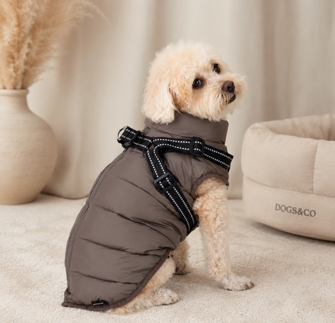 Dogs&Co Gewatteerde Hondenjas met Ge&iuml;ntegreerd Harnas CHOCO