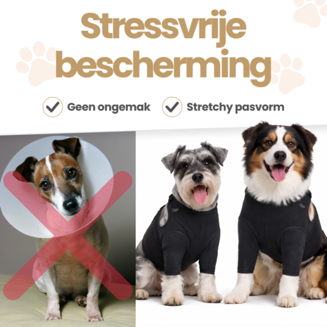 Dogs&Co&reg; Herstelpak - Voorpoot beschermer