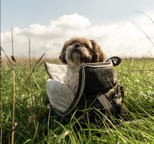 Dogs&amp;Co&reg; Luxe Reistas Design Antraciet 