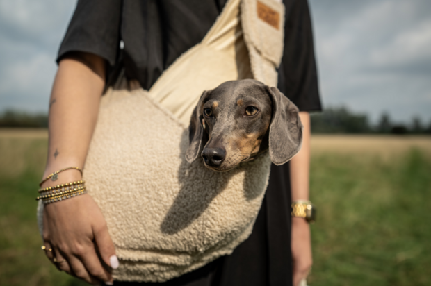 *TIJDELIJK UITVERKOCHT* Dogs&amp;Co Slingbag  - Draagtas beige TEDDY