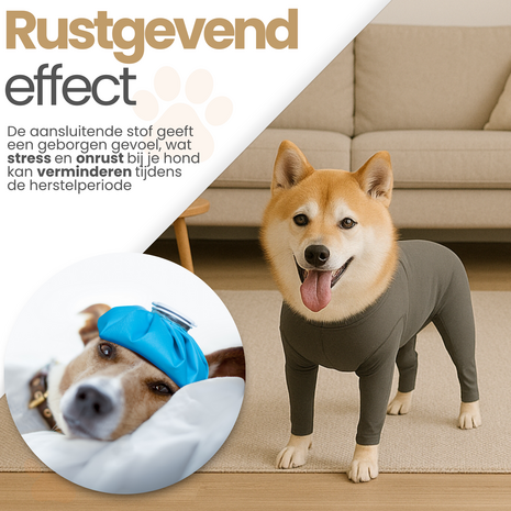 Dogs&amp;Co&reg; Medisch Bodysuit - Operatie jumpsuit Grijs - Operatiepak voor de hond grijs