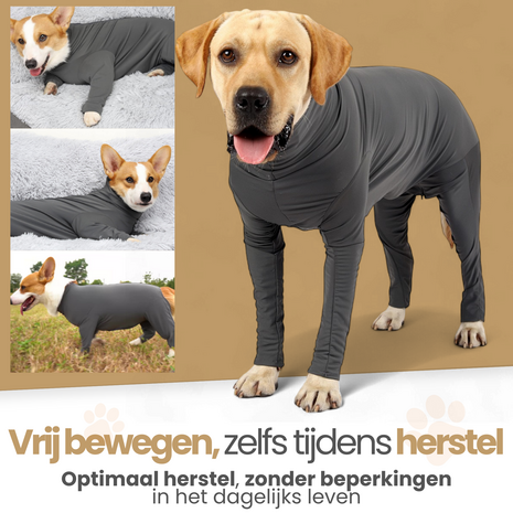 Dogs&amp;Co&reg; Medisch Bodysuit - Operatie jumpsuit Grijs - Operatiepak voor de hond grijs