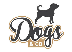 Logo b2bpuggleandco